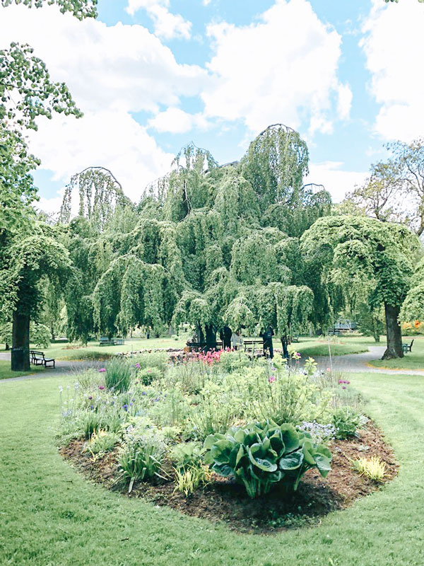 Trees at the Halifax Public Gardens