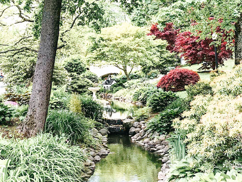 Bridge and plants at Halifax Public Gardens