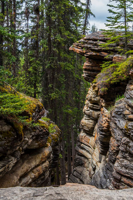 Rocks In Jasper Alberta