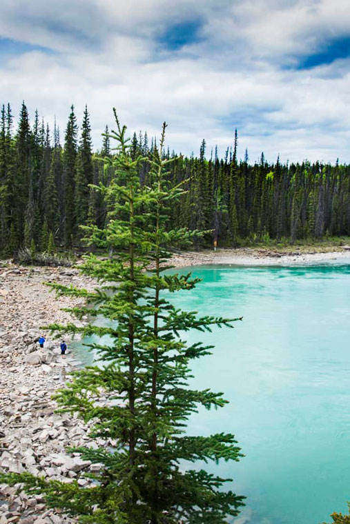 Landscape in Jasper National Park