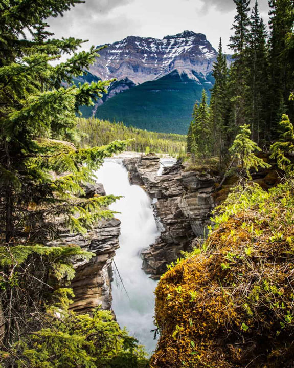 Athabasca Falls