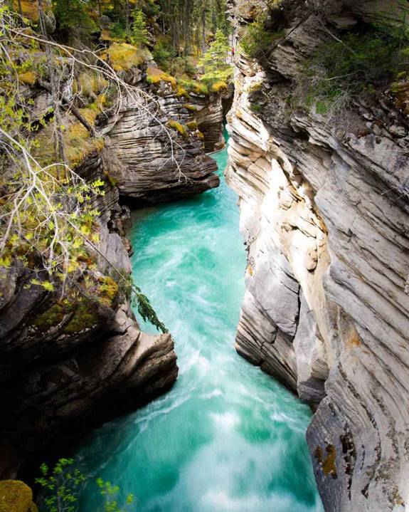 Athabasca Falls