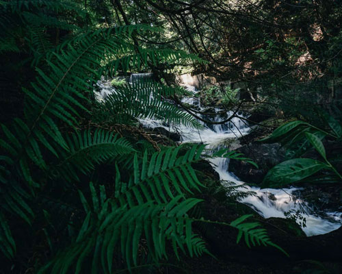 Bowen Island