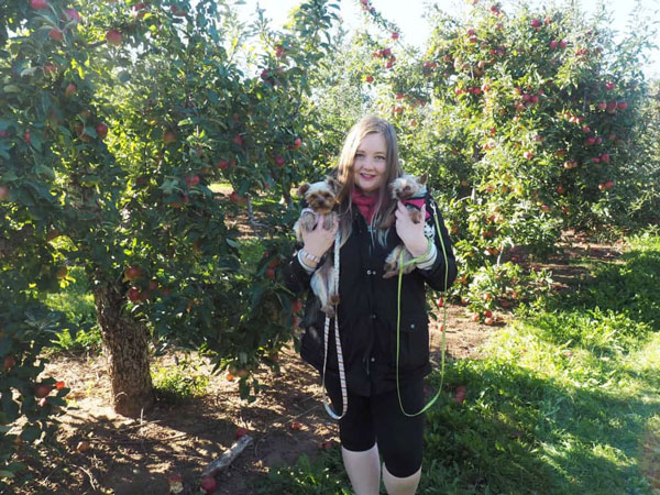 Girl and her dogs apple picking