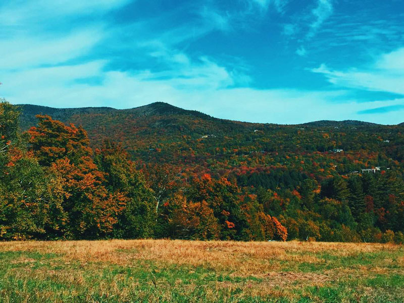 Fall In Vermont