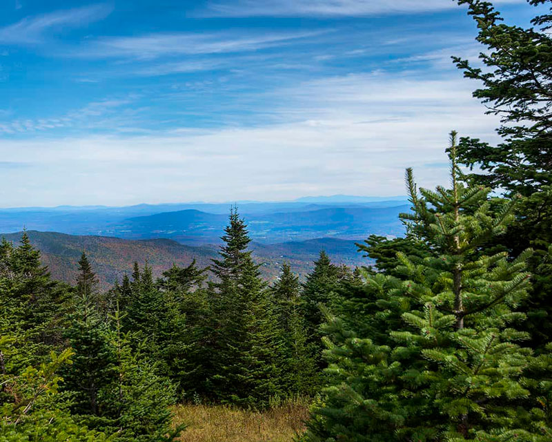 View from Mount Mansfield