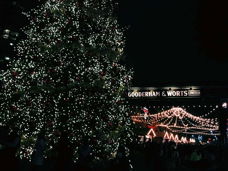 Tree and lights at Toronto Christmas Market