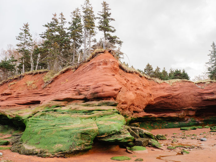 The Bay of Fundy red rocks and cave