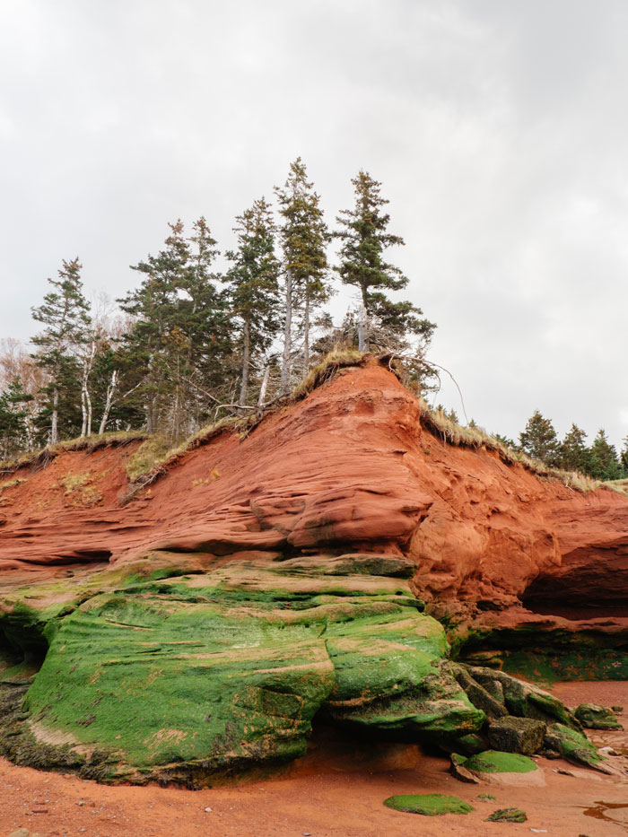 The Bay of Fundy red rocks