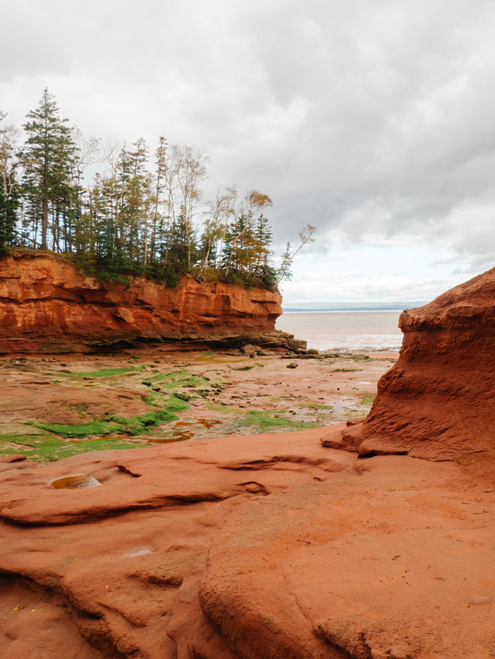 The Bay of Fundy red rocks 