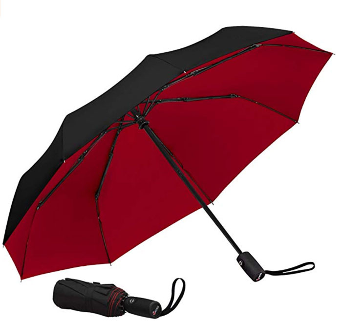 Red and Black Umbrella