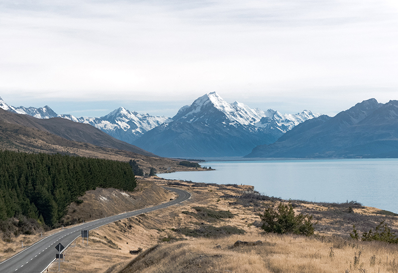 New Zealand nature