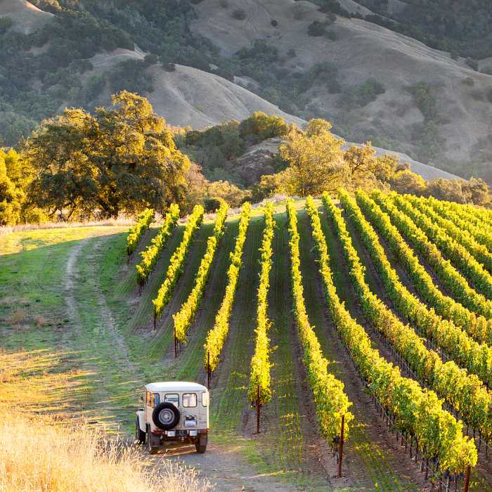 The Solo Traveler’s Guide to Visiting Sonoma