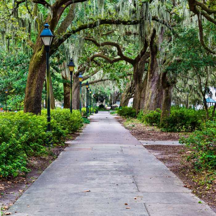 The Solo Traveler’s Guide to Exploring Savannah