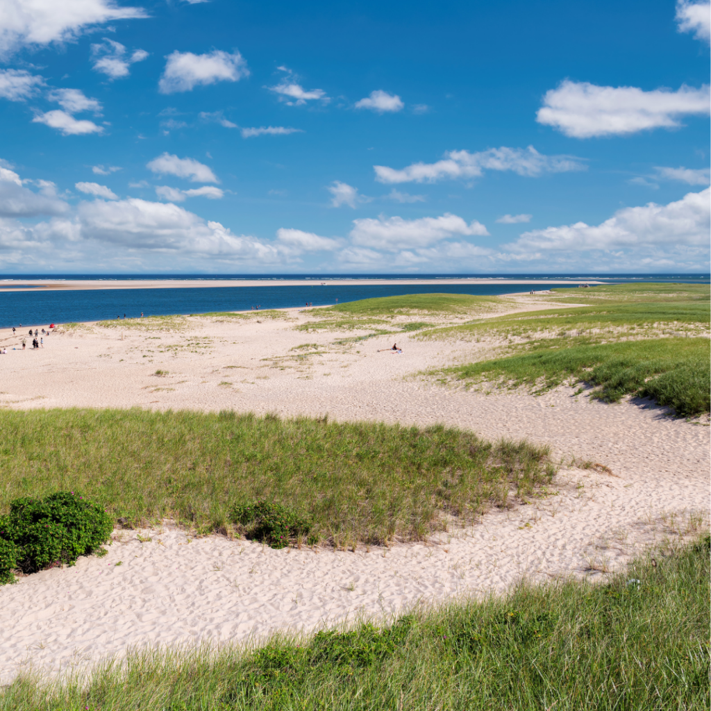 solo travel cape cod 