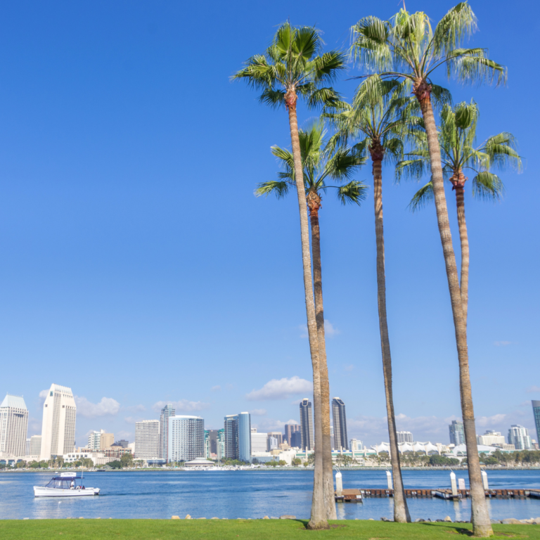 The Solo Traveler’s Guide to Visiting San Diego