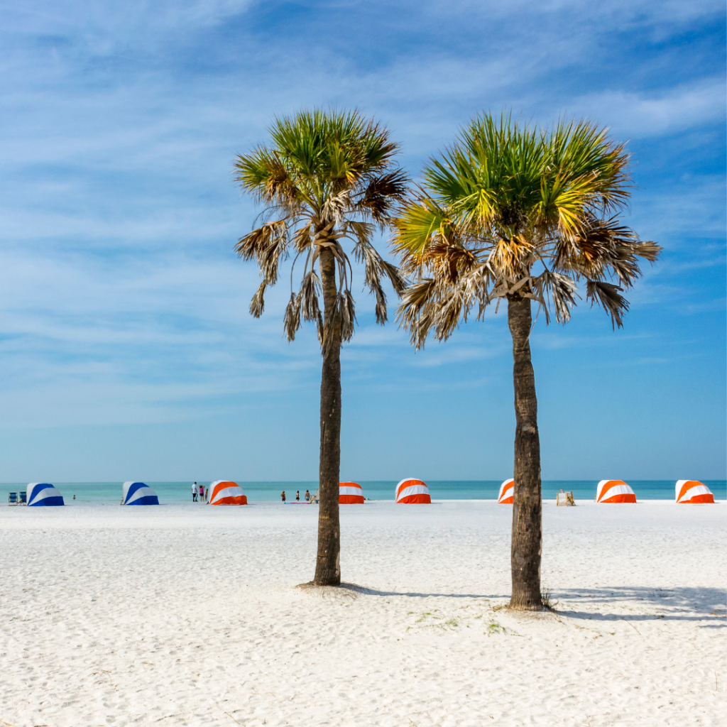 things to do alone in clearwater beach 