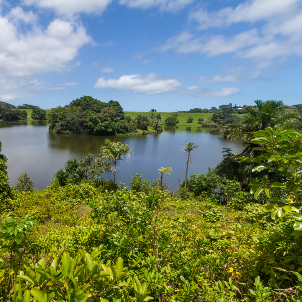 things to do solo in Honolulu